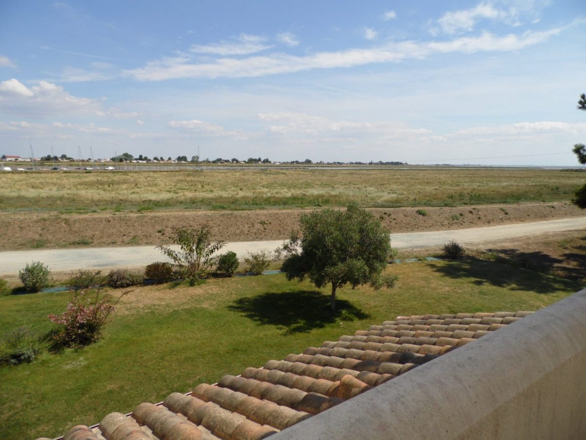 sam-3646-42abc7e46f4a4da2bfbe18192a3f87f2