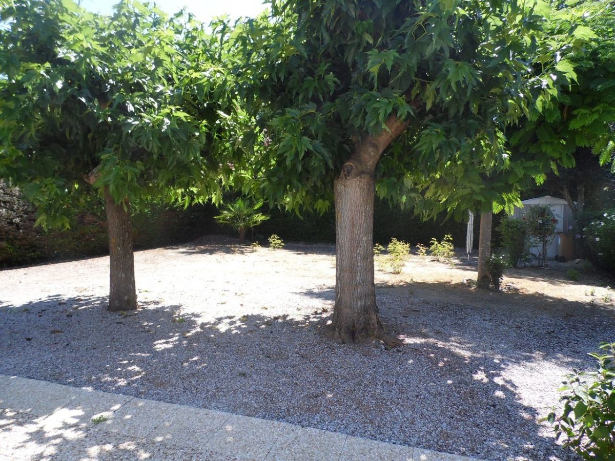 sam-7321-87a41b1f59674c21b6b284817d317f19