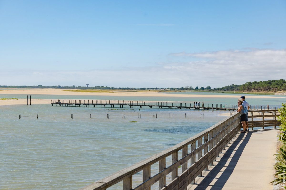 vendee_du_sud_23062025_sbourcier_386