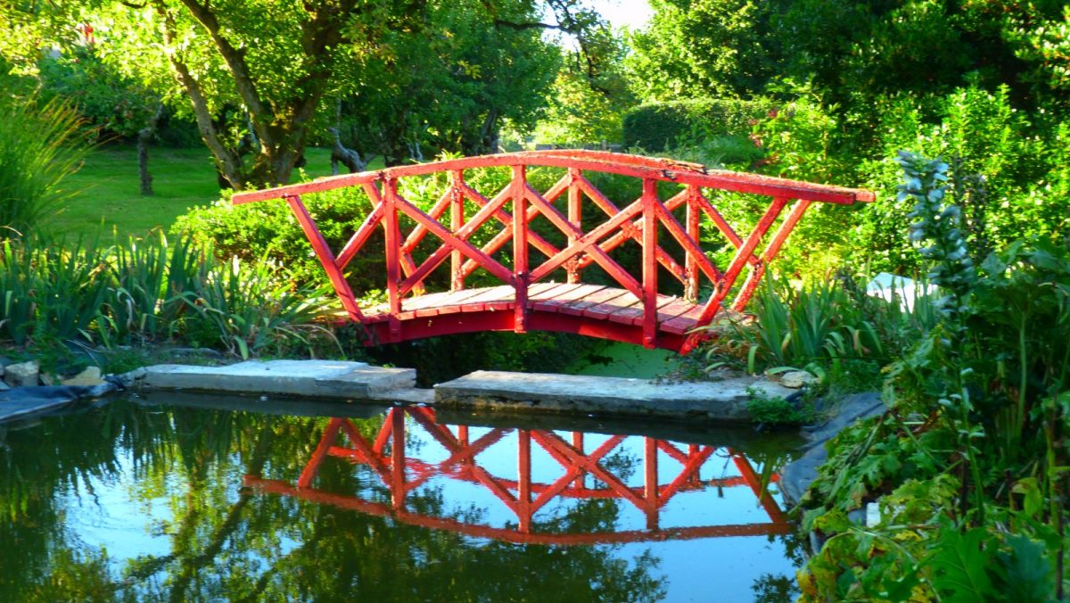 vue verger / rivière